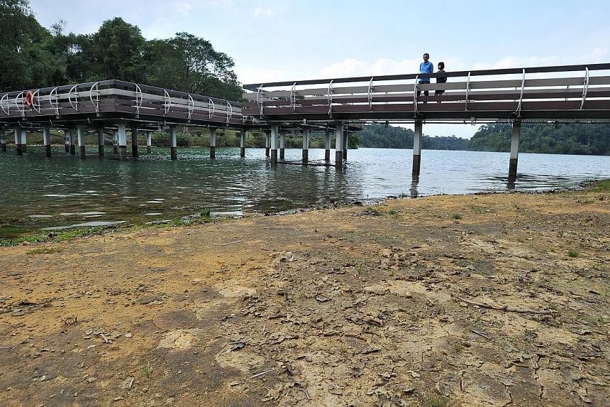 Low water levels seen at MacRitchie Reservoir on Feb 5, 2014, during Singapore's last dry spell.&nbsp;Singapore is likely to have hotter and drier days for the next four months, and the risk of haze will be higher too. -- PHOTO: ST FILE