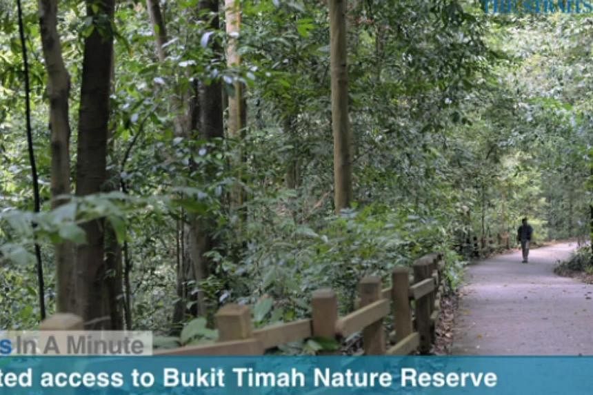 In today's The Straits Times News In A Minute video, we look at how the Bukit Timah Nature Reserve will be closed for six months from September, for repair works on its trails, slopes and park amenities, among other issues. -- PHOTO: SCREEGRAB FROM V