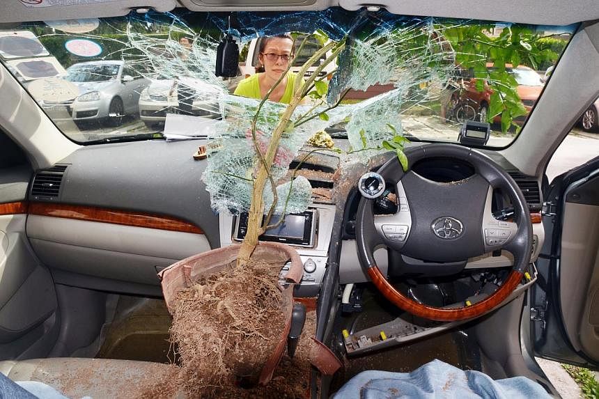 It is not clear if the potted plant, which damaged the car's dashboard and gear box, had fallen or was thrown by someone. The case has been classified as a rash act and police investigations are ongoing.