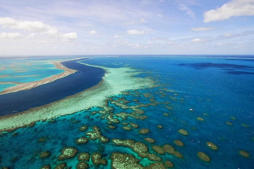 A handout photograph shows an island of the Great Barrier Reef in Whitsundays, Queensland, Australia, on Monday, on May 4, 2009. -- PHOTO: BLOOMBERG