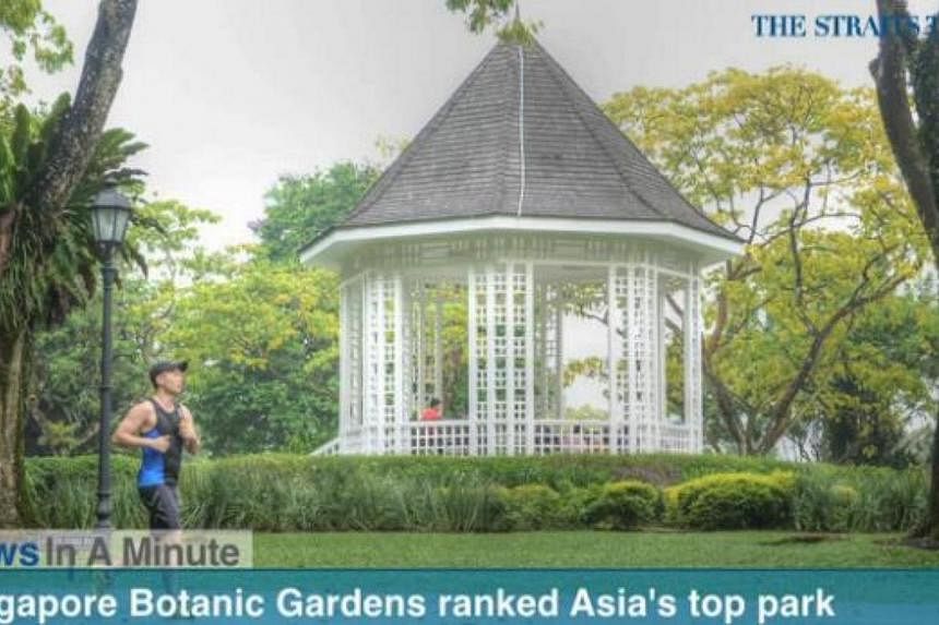 In today's The Straits Times News In A Minute video, we look at how the Singapore Botanic Gardens has been named the No. 1 park in Asia for the second time by TripAdvisor. -- PHOTO: SCREENGRAB FROM VIDEO