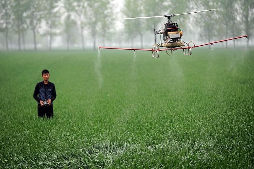 This picture taken on April 15, 2014 shows a man controlling a drone to spray pesticides on a farm in Bozhou, central China's Anhui province.&nbsp;A California study out on Monday found that pregnant women who lived near farms where pesticides are ap