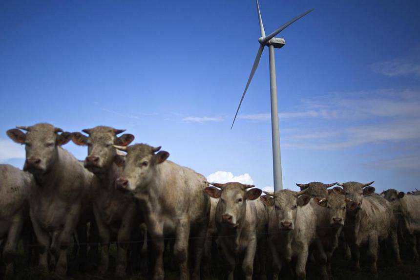 Cattle gather in a field near an ECO 110 wind turbine manufactured by Alstom in the Landes de Couesme wind farm near La Gacilly, western France, on April 26, 2014.&nbsp;If Europe adopted a style of farming that abstains from plowing after a harvest, 
