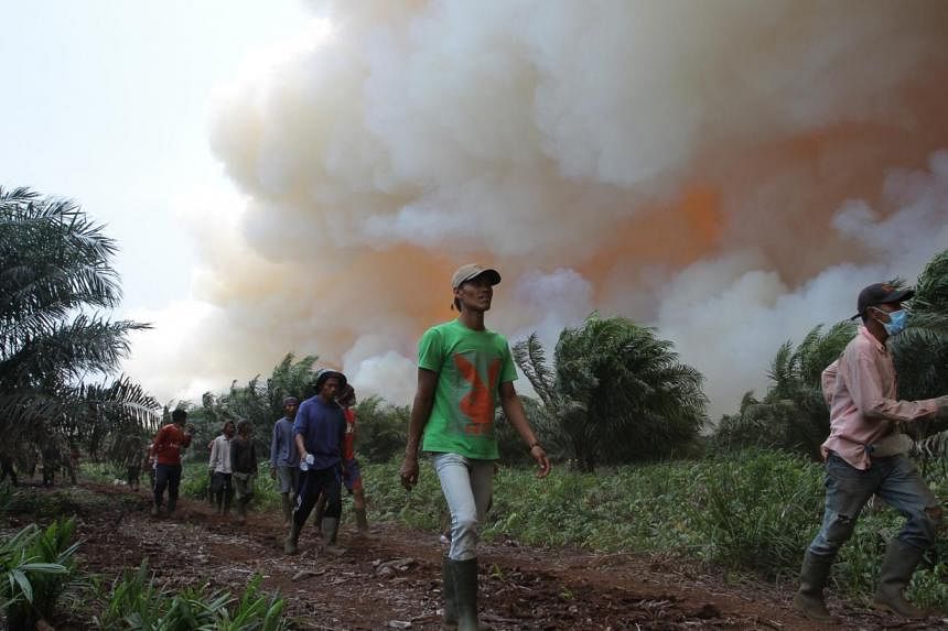 Workers leaving a plantation hit by fire in Dumai, Riau province.&nbsp;Indonesia's disaster agency warned on Wednesday that haze could return to neighbouring Singapore and Malaysia after a huge jump in forest fires in a province at the centre of a sm