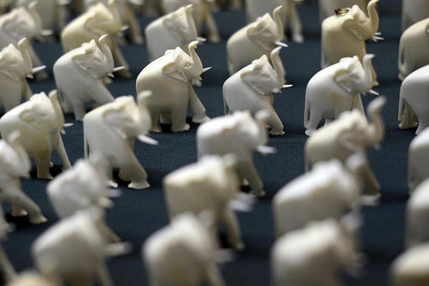 Seized elephant ivory charms are displayed during a news conference by the NY District Attorney to announce the guilty pleas of two men for selling over $2 million worth of illegal elephant ivory in New York, in this file photo taken July 12, 2012.&n