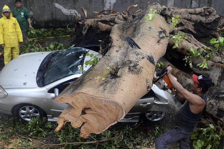 A worker uses an electric saw to remove a huge tree that fell on top of a car during the onslaught of Typhoon Rammasun, (locally named Glenda) that hit Makati city in Manila on July 16, 2014. -- PHOTO: REUTERS