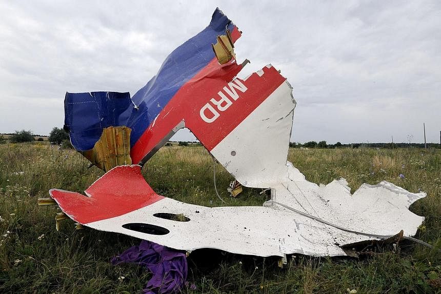 A piece of wreckage of the Malaysia Airlines flight MH17 is pictured on July 18, 2014 in Shaktarsk, the day after it crashed.&nbsp;The International Civil Aviation Organisation (ICAO) on Friday, July 18, 2014, denied it had closed an air route over e
