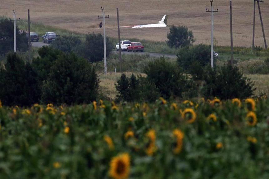 The wreckage of a Malaysia Airlines Boeing 777 plane (back) is seen, with sunflowers in the foreground, near the settlement of Grabovo in the Donetsk region on July 17, 2014. -- PHOTO: REUTERS