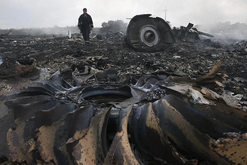 An emergencies ministry member walks at a site of a Malaysia Airlines Boeing 777 plane crash near the settlement of Grabovo in the Donetsk region on July 17, 2014. -- PHOTO: REUTERS