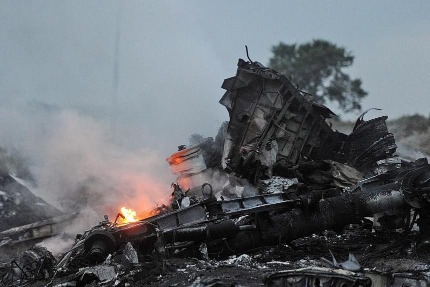 A picture taken on July 17, 2014 shows flames amongst the wreckages of the Malaysian airliner carrying 298 people from Amsterdam to Kuala Lumpur after it crashed, near the town of Shaktarsk, in rebel-held east Ukraine. -- PHOTO: AFP