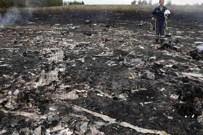 An Emergencies Ministry member walks at the site of a Malaysia Airlines Boeing 777 plane crash near the settlement of Grabovo in the Donetsk region on July 17, 2014. -- PHOTO: REUTERS
