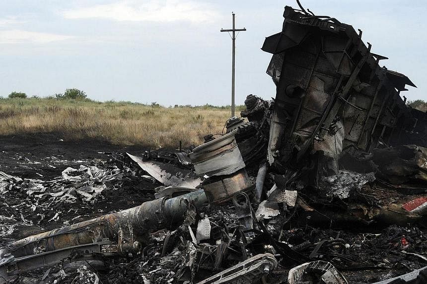 A picture taken on July 18, 2014 shows the wreckage of the Malaysia Airlines jet carrying 298 people from Amsterdam to Kuala Lumpur a day after it crashed, near the town of Shaktarsk, in rebel-held east Ukraine.&nbsp;-- PHOTO: AFP&nbsp;