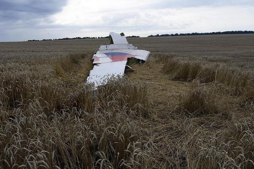 A piece of debris lies in a wheat field at the site of the crash of a Malaysia Airlines plane carrying 298 people from Amsterdam to Kuala Lumpur in Grabove, in rebel-held east Ukraine on July 19, 2014.&nbsp;Malaysia Airlines is appealing to the famil