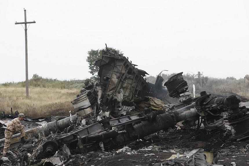 A pro-Russian separatist stands at the crash site of Malaysia Airlines flight MH17 before a visit by Organisation for Security and Cooperation in Europe (OSCE) monitors, near the settlement of Grabovo in the Donetsk region on July 18, 2014. -- PHOTO: