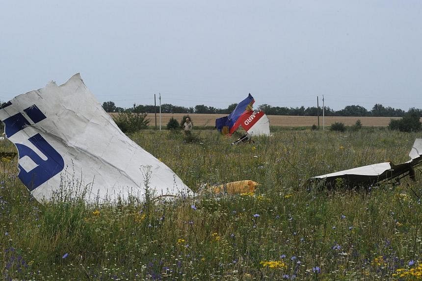 A picture taken on July 18, 2014 shows the wreckages of the Malaysia Airlines jet carrying 298 people from Amsterdam to Kuala Lumpur a day after it crashed, near the town of Shaktarsk, in rebel-held east Ukraine. -- PHOTO: AFP