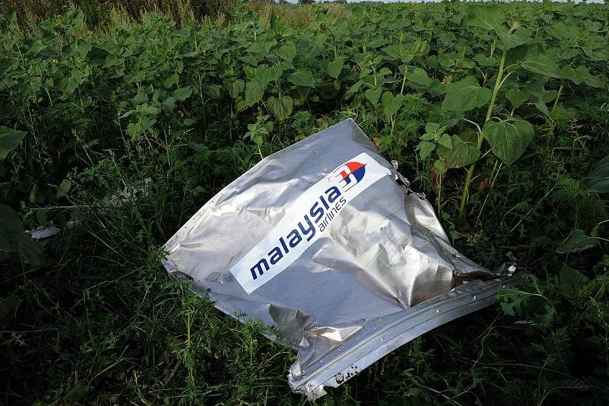 An airline envelope lays in a sunflower field near the village of Rassipnoe after of the crash of a Malaysia Airlines plane carrying 298 people from Amsterdam to Kuala Lumpur in Grabove, in rebel-held east Ukraine, on July 19, 2014.&nbsp;Britain and 