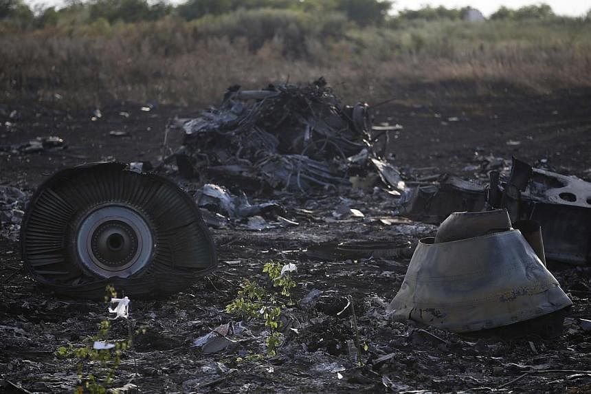 Wreckage is pictured at the crash site of Malaysia Airlines Flight MH17, near the settlement of Grabovo in the Donetsk region on July 19, 2014. -- PHOTO: REUTERS