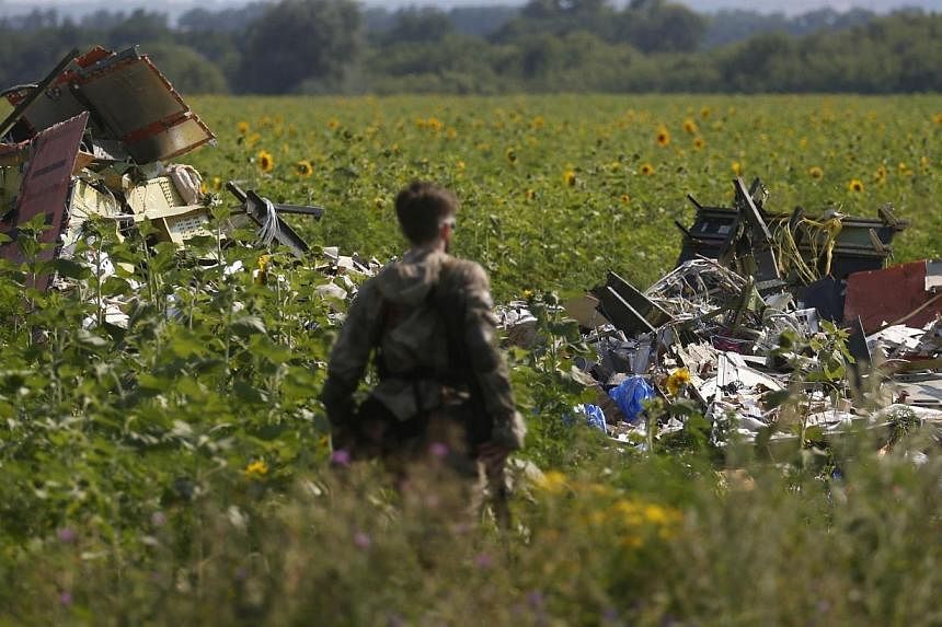 An armed pro-Russian separatist stands guard as monitors from the Organization for Security and Cooperation in Europe (OSCE) and members of a Malaysian air crash investigation team (both not pictured) inspect the crash site of Malaysia Airlines Fligh