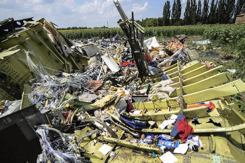 A photo taken on July 23, 2014 shows the crash site of the downed Malaysia Airlines flight MH17, in a field near the village of Grabove, in the Donetsk region. The cockpit voice recorder of Malaysia Airlines Flight MH17 downed over Ukraine is in good