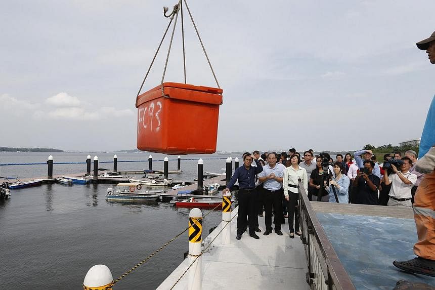 A box of fresh fish is unloaded during the official opening of Lorong Halus Jetty at 50 Pasir Ris Coast Industrial Park 6 on 24 July 2014.&nbsp;To boost Singapore's sustainable food fish production, the Agri-Food and Veterinary Authority (AVA) is com
