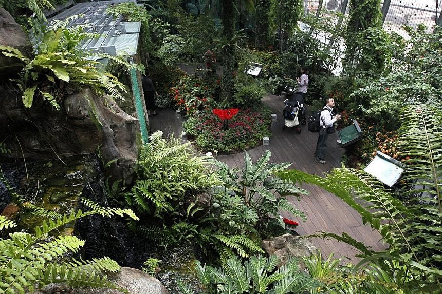 Visitors at the Butterfly Garden in Changi Airport's Terminal 3.&nbsp;-- PHOTO: ST FILE