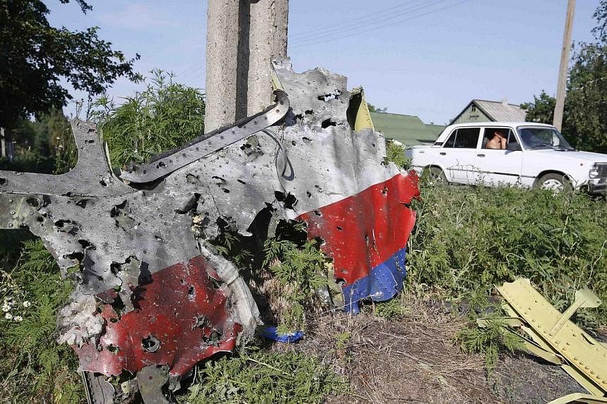 A piece of the wreckage is seen at a crash site of the Malaysia Airlines Flight MH17 in the village of Petropavlivka (Petropavlovka), Donetsk region on July 24, 2014.&nbsp;-- PHOTO: REUTERS