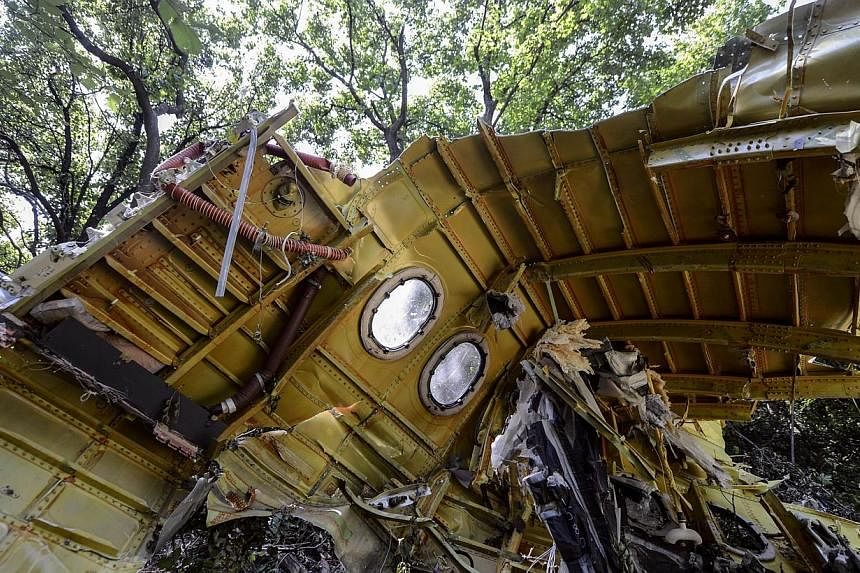 A piece the fuselage at the crash site of the Malaysia Airlines Flight MH17 near the village of Hrabove (Grabovo), some 80km east of Donetsk on July 25, 2014.&nbsp;-- PHOTO: AFP