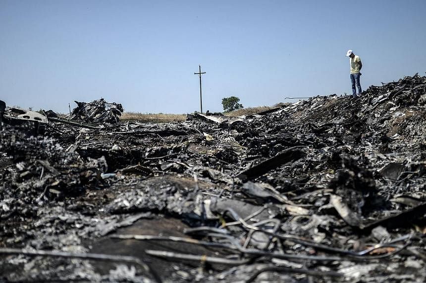 A man stands at the crash site of the Malaysia Airlines Flight MH17 on July 26, 2014, near the village of Hrabove (Grabove), in the Donetsk region.&nbsp;&nbsp;A team of 30 Dutch forensic experts headed on Sunday, July 27, to the crash site of flight 