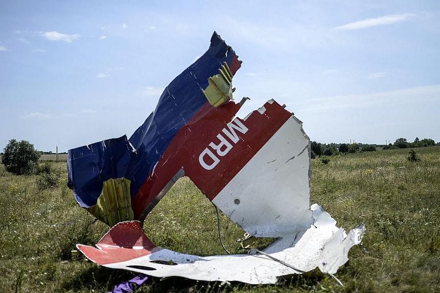 A picture shows a piece of debris of the fuselage at the crash site of the Malaysia Airlines Flight MH17 near the village of Hrabove (Grabovo), some 80km east of Donetsk, on July 25, 2014.&nbsp;The commercial director of Malaysia Airlines on Sunday, 