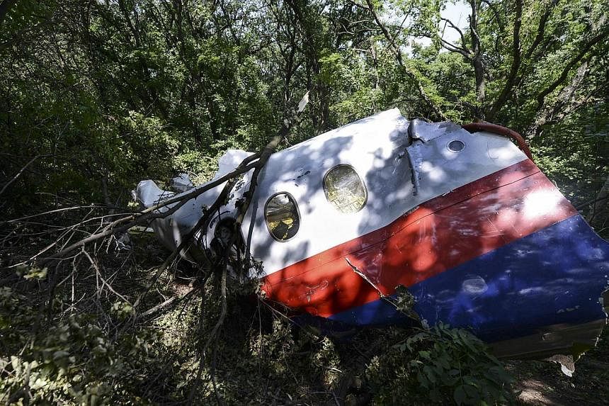 A picture shows a piece of debris of the fuselage at the crash site of the Malaysia Airlines Flight MH17 near the village of Hrabove (Grabovo), some 80km east of Donetsk, on July 25, 2014.&nbsp;The downing of Malaysia Airlines flight MH17 "may amount