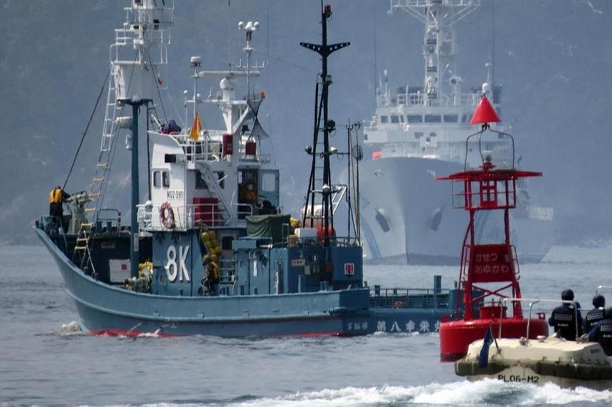 A Japanese whaling fleet (left) leaving from Ayukawa port in Ishinomaki City, northern Japan on April 26, 2014.&nbsp;Japan announced on Tuesday, July 29, 2014, that it had wrapped up a whale hunt in the Pacific, the second campaign since the UN's top