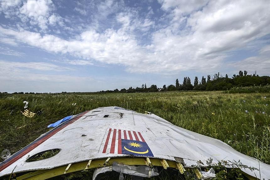 A piece of the wreckage of the Malaysia Airlines flight MH17 is pictured in a field near the village of Grabove, in the region of Donetsk on July 20, 2014. -- PHOTO: AFP