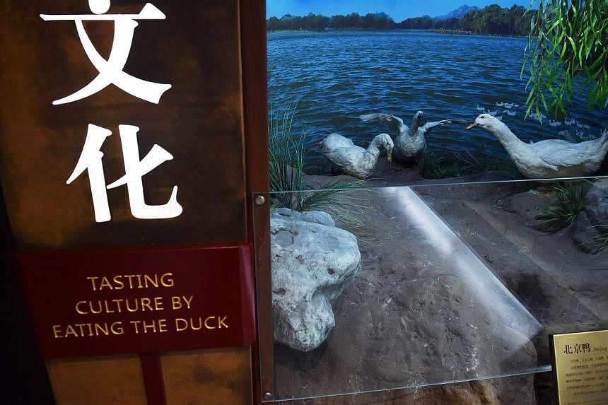 A display outlining the history of the Peking Duck dish in the museum at the Quanjude restaurant in Beijing. The restaurant, the flagship of a chain with franchises as far away as Australia, is marking its 150th anniversary by opening a museum dedica