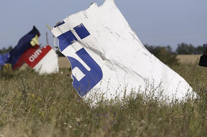 A woman takes a photograph of wreckage at the crash site of Malaysia Airlines Flight MH17 near the village of Hrabove (Grabovo), Donetsk region July 26, 2014.&nbsp;The United Nations' International Civil Aviation Organisation (ICAO) is setting up a t
