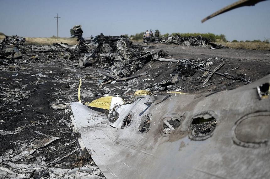 A part of the Malaysia Airlines Flight MH17 at the crash site in the village of Hrabove (Grabovo), some 80km east of Donetsk on Aug 2, 2014.&nbsp;Malaysia's transport minister Liow Tiong Lai has said a preliminary investigation report for Malaysia Ai