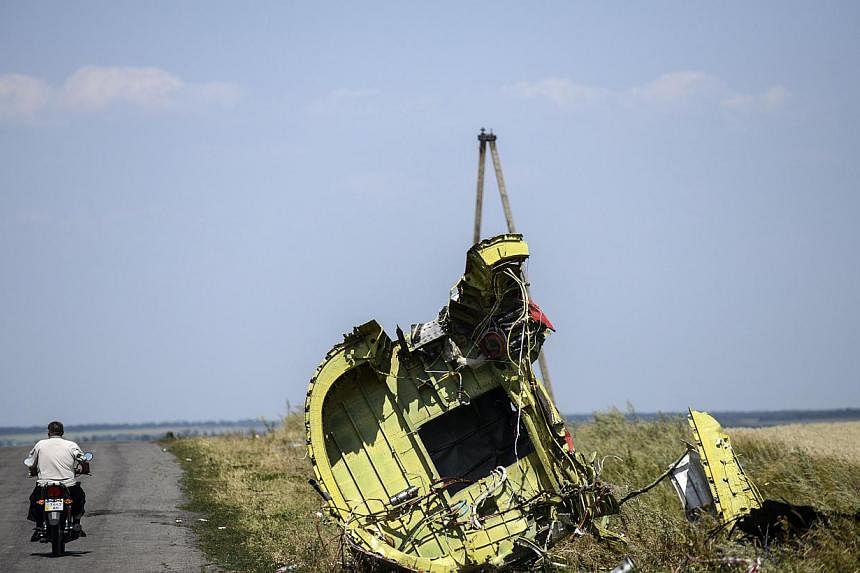 International experts suspended their search for body parts at the MH17 crash site on Wednesday because of deteriorating security in eastern Ukraine, Dutch Prime Minister Mark Rutte said. -- PHOTO: AFP