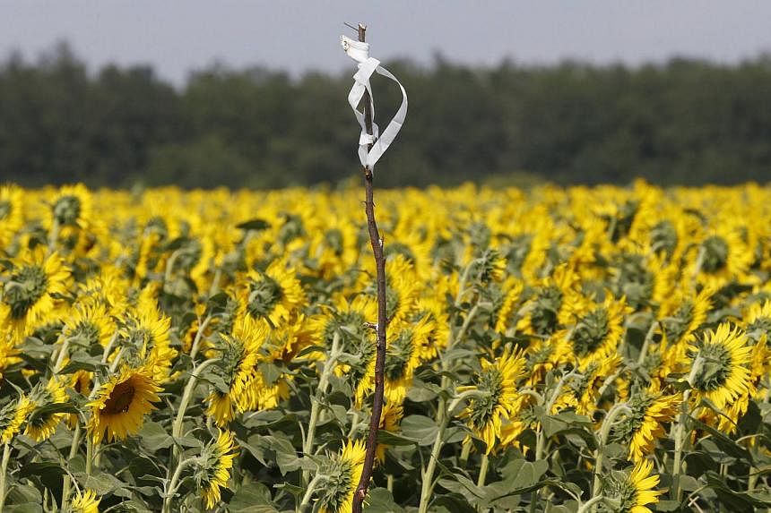 A makeshift marker denoting evidence is pictured at the site of the downed Malaysian airliner MH17 near the village of Rozsypne in the Donetsk region on Aug 4, 2014. -- PHOTO: REUTERS