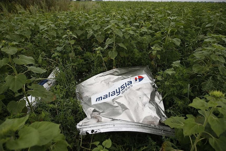 Debris from a crashed Malaysian Airlines MH17 Boeing 777 lies on the ground near the village of Rozsypne in the Donetsk region on July 18, 2014.&nbsp;Dutch forensics experts have identified 21 more flight MH17 crash victims, the government said on Fr