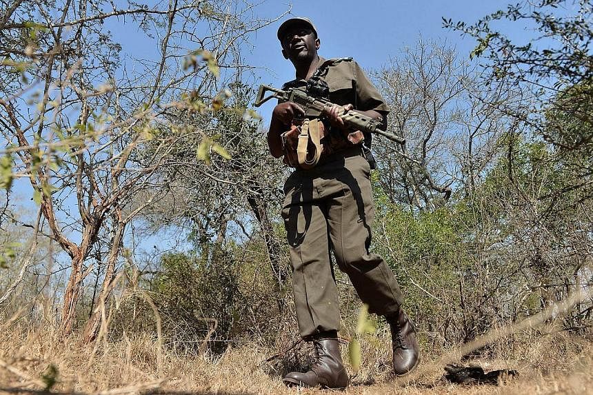 Park ranger Stephen Midzi patrols a section of Kruger National Park, in northern South Africa, scouting for possible poachers on July 31, 2014. South Africa plans to evacuate hundreds of rhinos from the famed Kruger National Park to safe havens out o