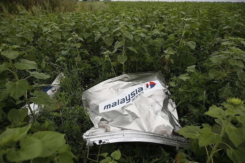 Debris from a crashed Malaysian Airlines MH17 Boeing 777 lies on the ground near the village of Rozsypne in the Donetsk region in this July 18, 2014 file photo.&nbsp;Malaysia and Ukraine have reached a bilateral agreement to expand the number of Mala