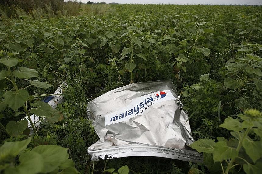 Debris from the crashed Malaysian Airlines MH17 Boeing 777 lies on the ground near the village of Rozsypne in the Donetsk region in Ukraine in this July 18, 2014 file photo. Malaysian defence minister&nbsp;Hishammuddin Hussein said on Aug 17 that the