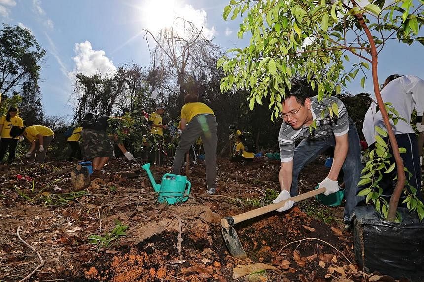Minister of State for National Development Desmond Lee doing his part at the reforestation initiative on Pulau Ubin yesterday. He says that one solution to tackle the island's fast-eroding northern coastline could be to install breakwaters.