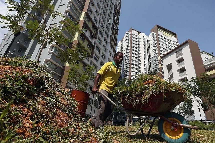 A man works on landscaping against the backdrop of Fernvale Foliage in Sengkang on Sept 2, 2014. Straits Construction, which was responsible for the Fernvale Foliage public housing project, is one of six contractors which will receive awards from the