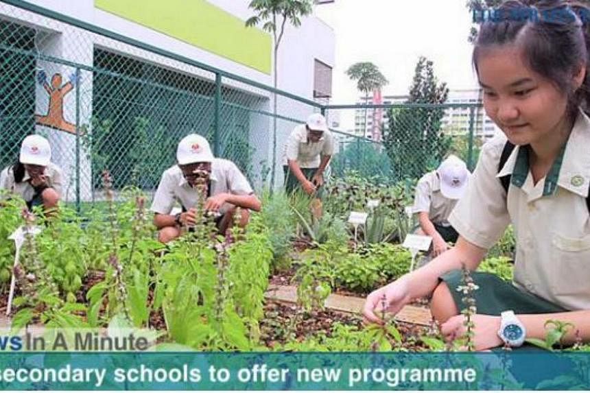 42 secondary schools will offer a new Science, Technology, Engineering and Mathematics Applied Learning Programme. -- SCREENGRAB FROM RAZORTV VIDEO