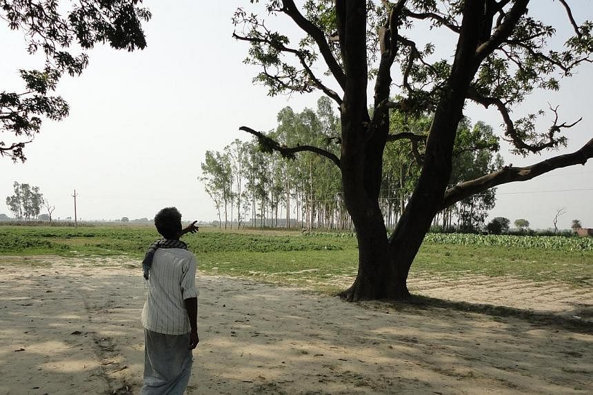 The grief-stricken father pointing to the mango tree where his 14-year-old daughter and niece, 12, were hanged.&nbsp;An Indian court on Thursday freed three men detained earlier this year on suspicion of raping and murdering two teenage girls found h