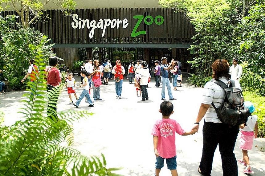 The Government is looking at making Mandai zoo "bigger and better", said Prime Minister Lee Hsien Loong on Thursday evening. -- PHOTO: SINGAPORE ZOO