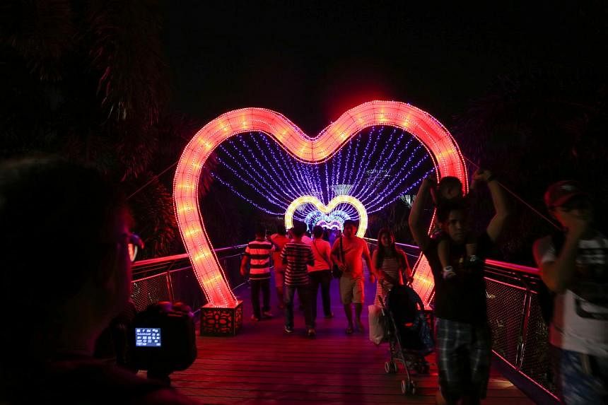 People walk past the light up of Dragonfly Bridge at Gardens by the Bay. -- ST PHOTO: ONG WEE JIN