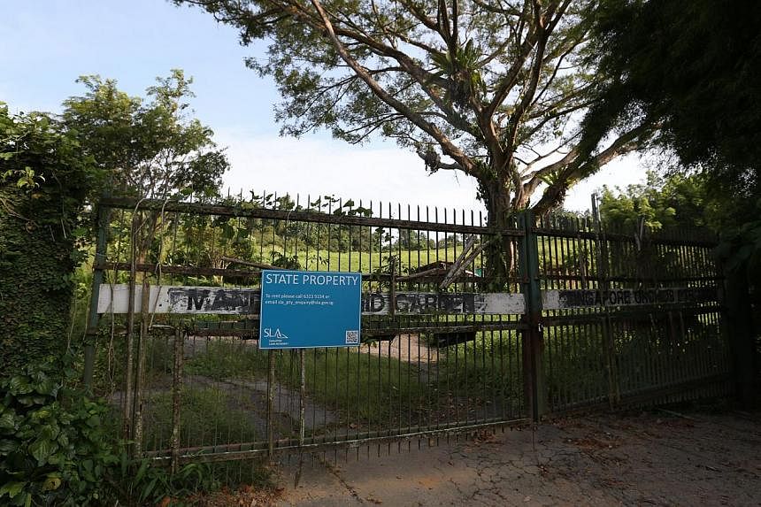 Prime Minister Lee Hsien Loong announced on Thursday that the zoo could expand to take up available land next to it. The neighbouring space now houses the former Mandai Orchid Garden (right) and an old fruit orchard.