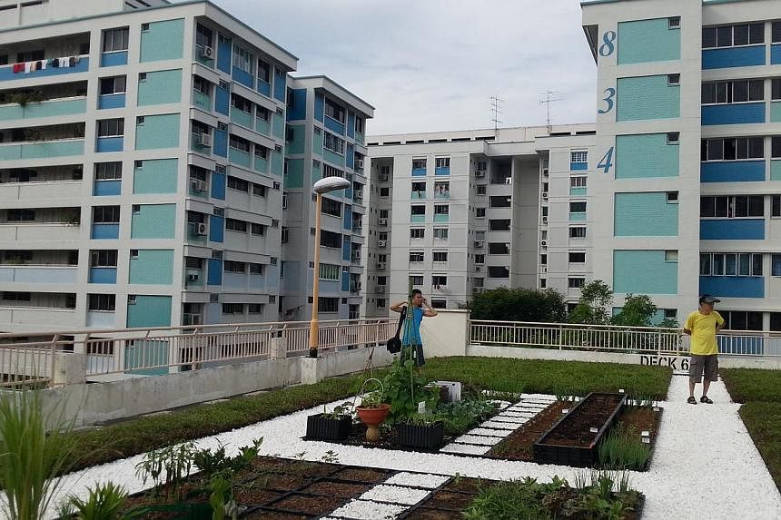 The rooftop of a multi-storey carpark in Yishun has been turned into a community garden by the Rooftop Farming interest group made up of some 18 residents in Nee Soon South Zone D.&nbsp; &nbsp;-- ST PHOTO: AUDREY TAN &nbsp;