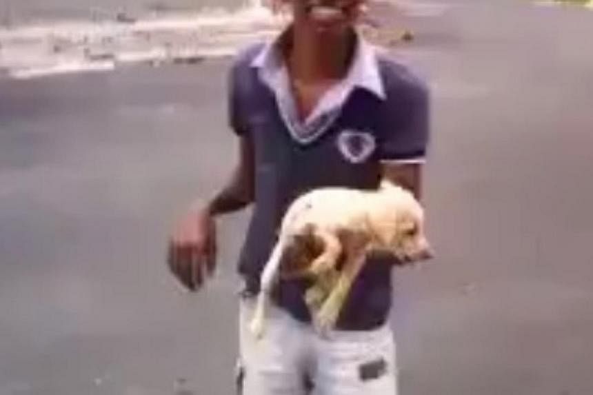 A screenshot of the video that was posted on the Facebook page of a Malaysian portal, showing a boy abusing a dog. -- PHOTO: SCREENSHOT FACEBOOK